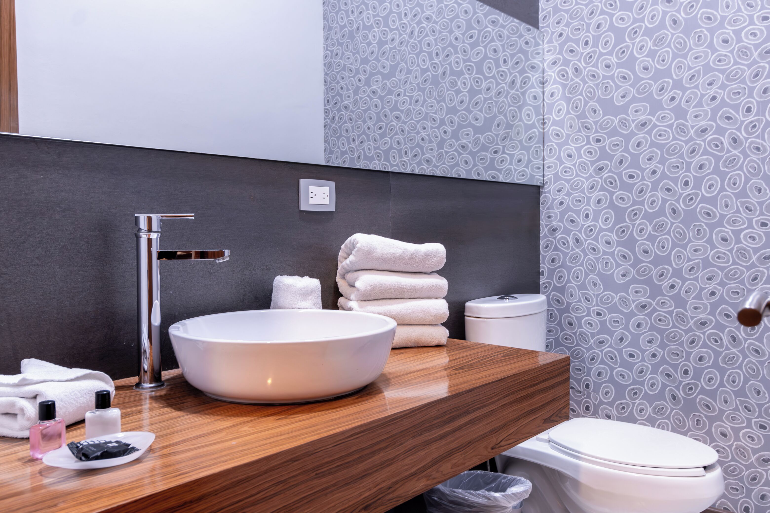deluxe suite | bathroom | shower, free toiletries, hair dryer, towels