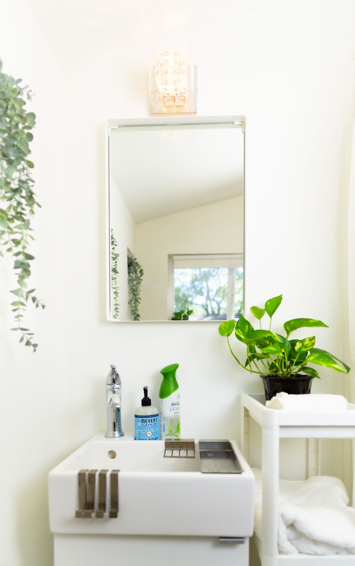 Imagen de perfil del propietario o de la propietaria