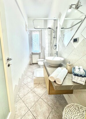 Shower, hair dryer, bidet, towels