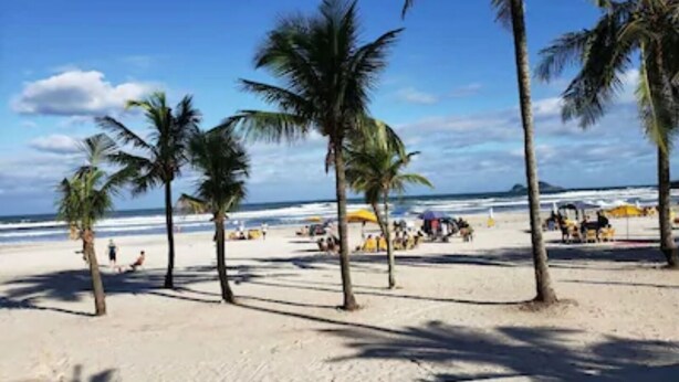 A beach with palm trees and umbrellas.