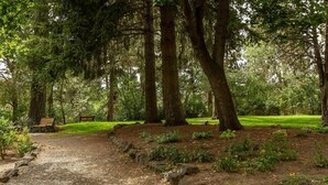 Un parc avec un sentier de gravier, des bancs et une variété de plantes.