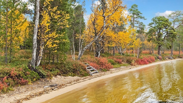 A riverbank with trees displaying autumn foliage, a sandy path, and a wooden bridge. - Peurakumpu by Interhome (Inari)