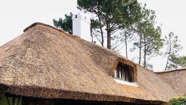 Un edificio rustico in pietra con tetto di paglia, pareti in pietra e un piccolo portico con piante in vaso.