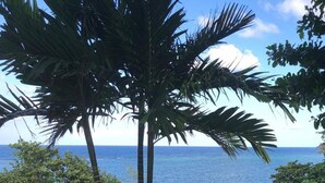 A swimming pool with a white fence, palm trees, and a view of the ocean. - clean, comfy & quiet with views  (Tower Isle)
