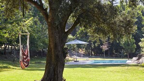 A tree with a hammock hanging from its branches, a pool, and lounge chairs in the background.