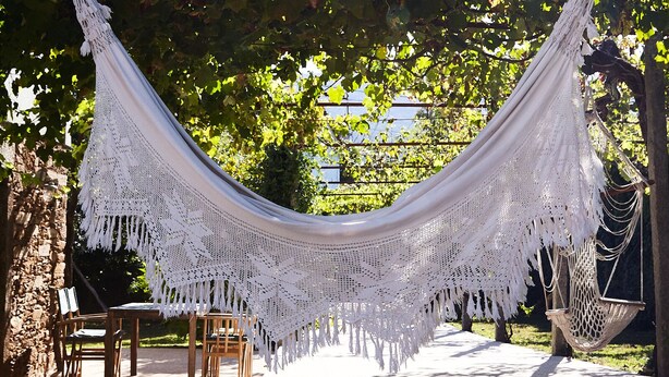 A hammock suspended between trees in a park setting.