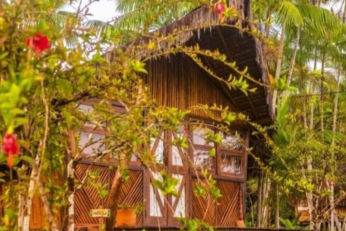 A wooden structure with a thatched roof, surrounded by lush greenery and palm trees.