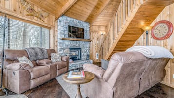 Télévision, cheminée, lecteur de DVD, vidéothÚque