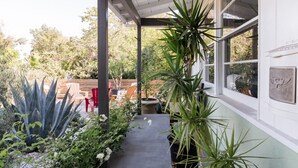 Eine überdachte Terrasse mit Kübelpflanzen, einem Betonweg und Blick auf den umliegenden Garten.