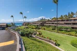 Property grounds - Kahana Sunset E10:  “Sale” into Whale Season with Reduced Rates! PROMO CODE: SALE25 (Kahana)