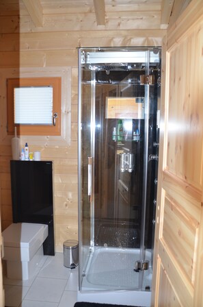 Dusche, Haartrockner, Handtücher, Seife