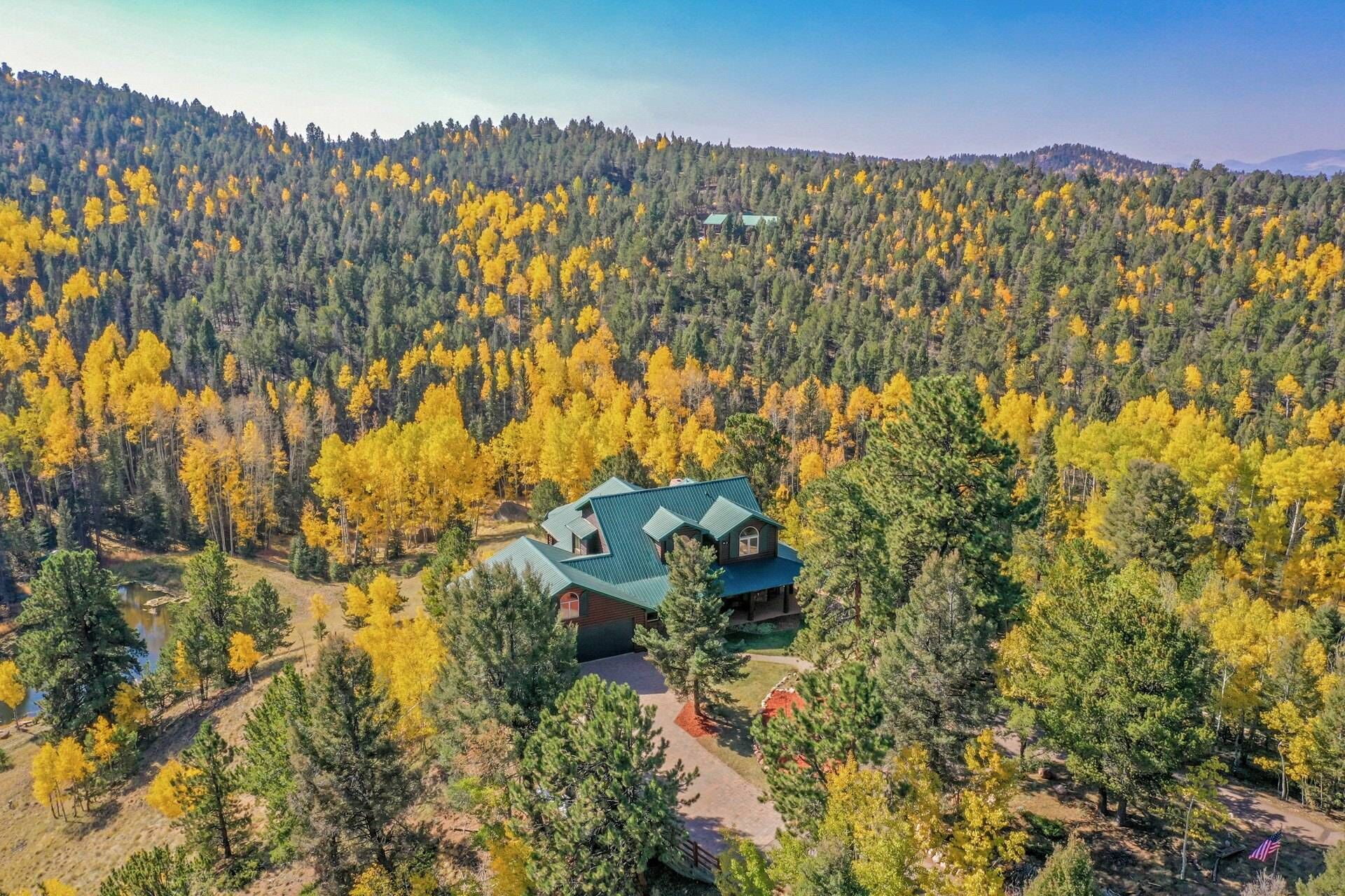 Honey Bear Lodge, Private 36.3 acre Fishing Lodge. Rare High Speed Starlink Wifi, Pet Friendly