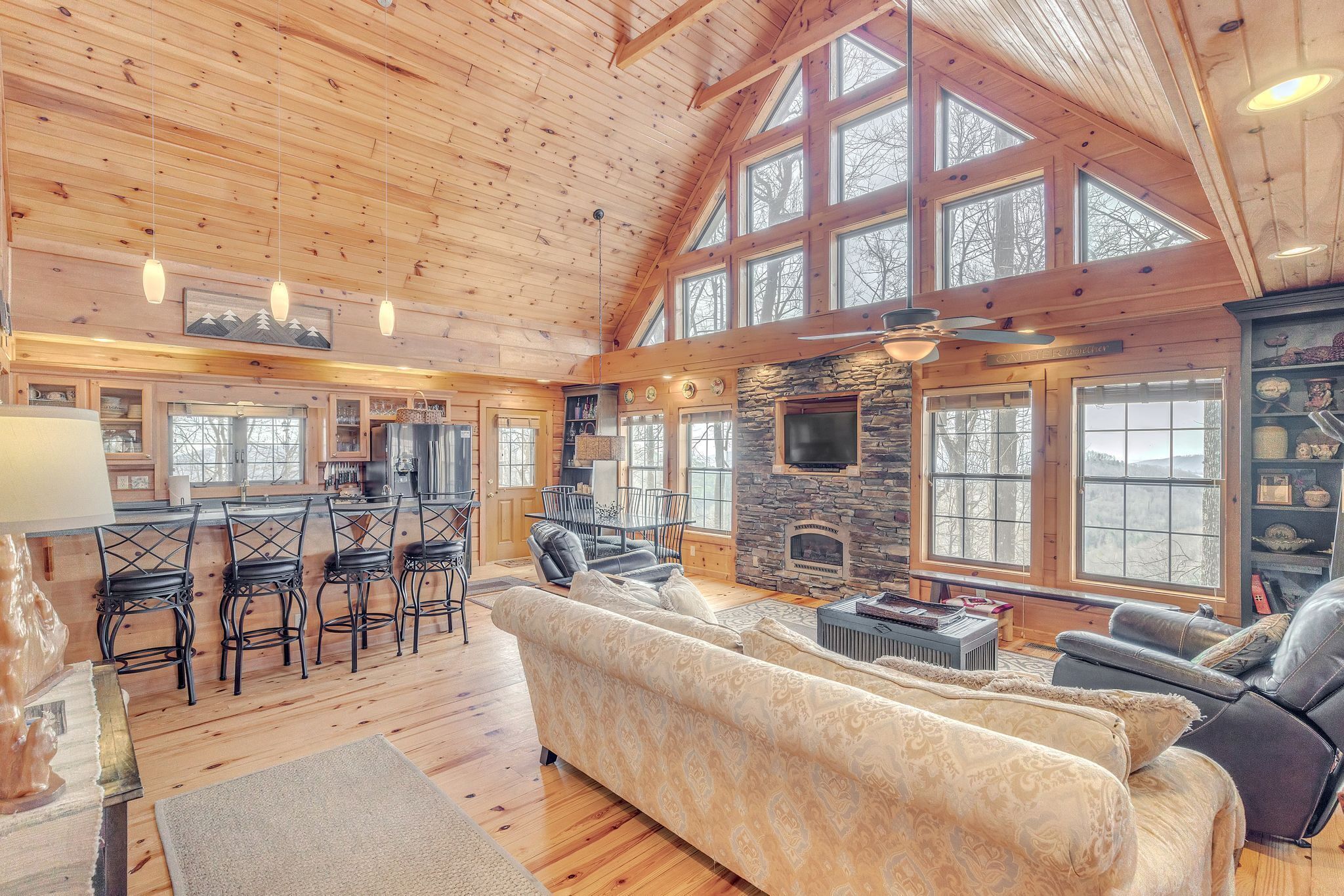 TV, peis, bøker og filmbibliotek