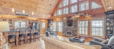 TV, fireplace, books, video library