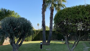 Un jardín bien cuidado con diversas especies de árboles, incluidas palmeras, y un cielo azul despejado.