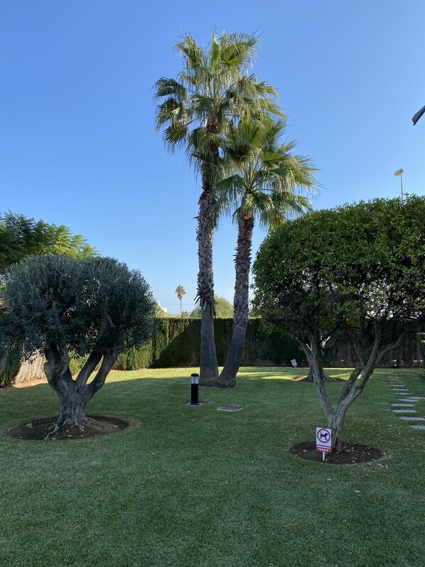 Un jardín bien cuidado con diversas especies de árboles, incluidas palmeras, y un cielo azul despejado.
