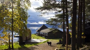A cabin by a lake with a clear view of the water, surrounded by trees and a wooden deck.