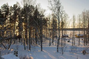 A snowy forest with bare trees and a cabin in the background.