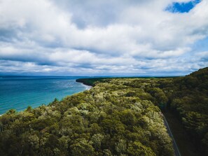 A coastal landscape with dense forest, a road, and a beach.