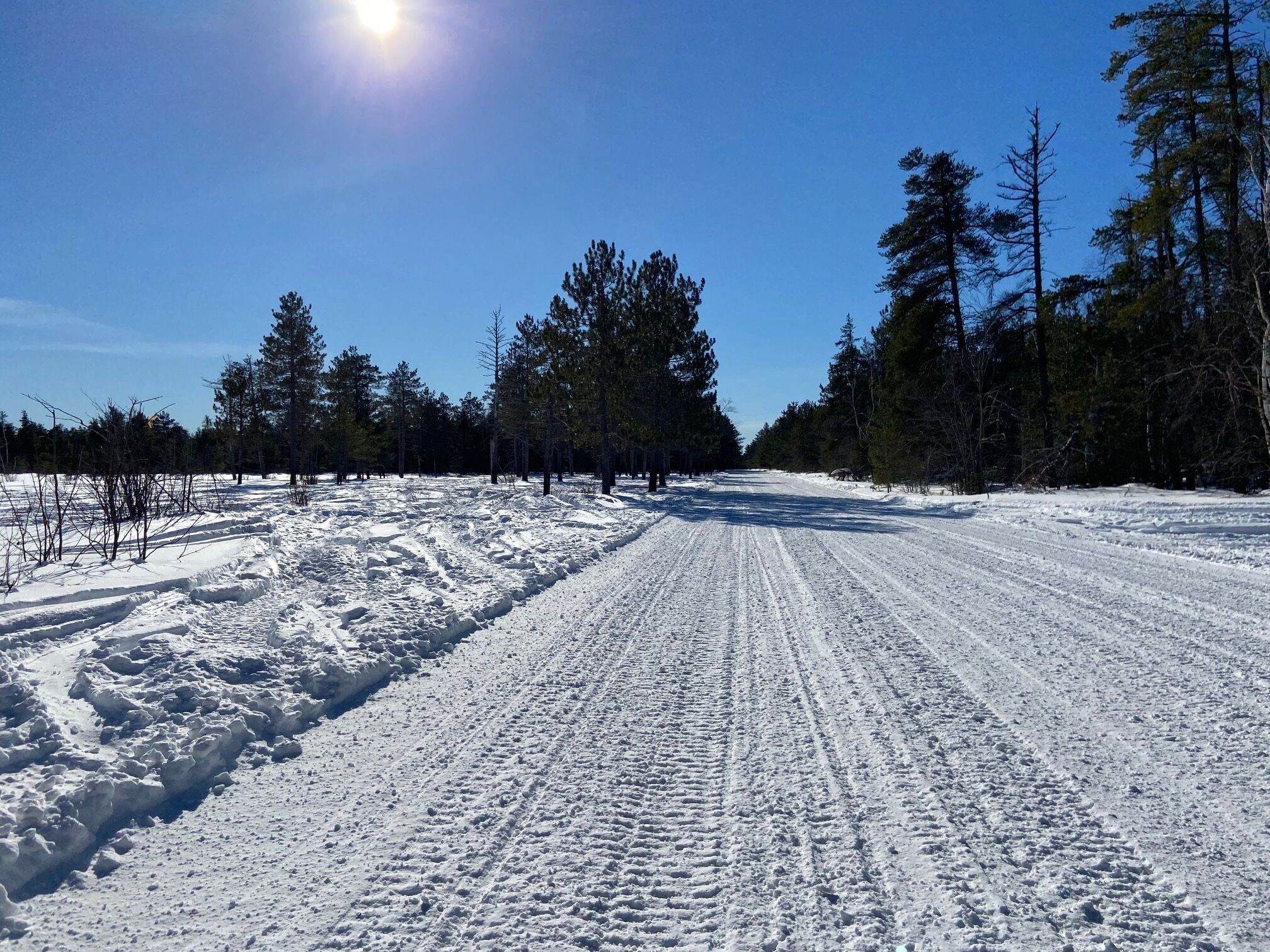 Uma estrada coberta de neve com sulcos de pneus, rodeada por árvores e um céu limpo.