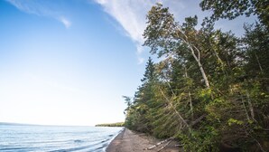Une plage avec un ciel dégagé et des arbres qui bordent le rivage.