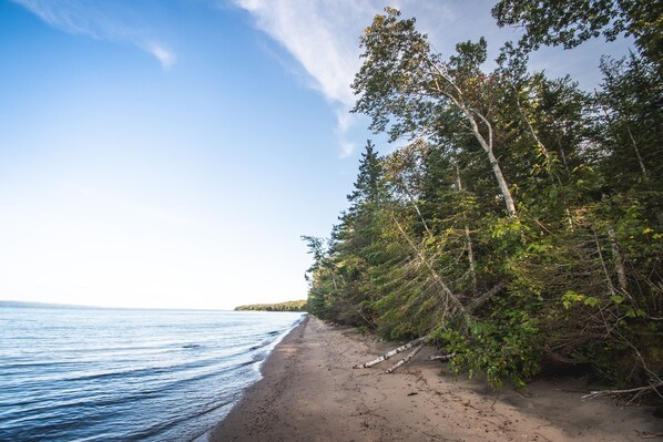 A beach with a clear sky and trees along the shore.