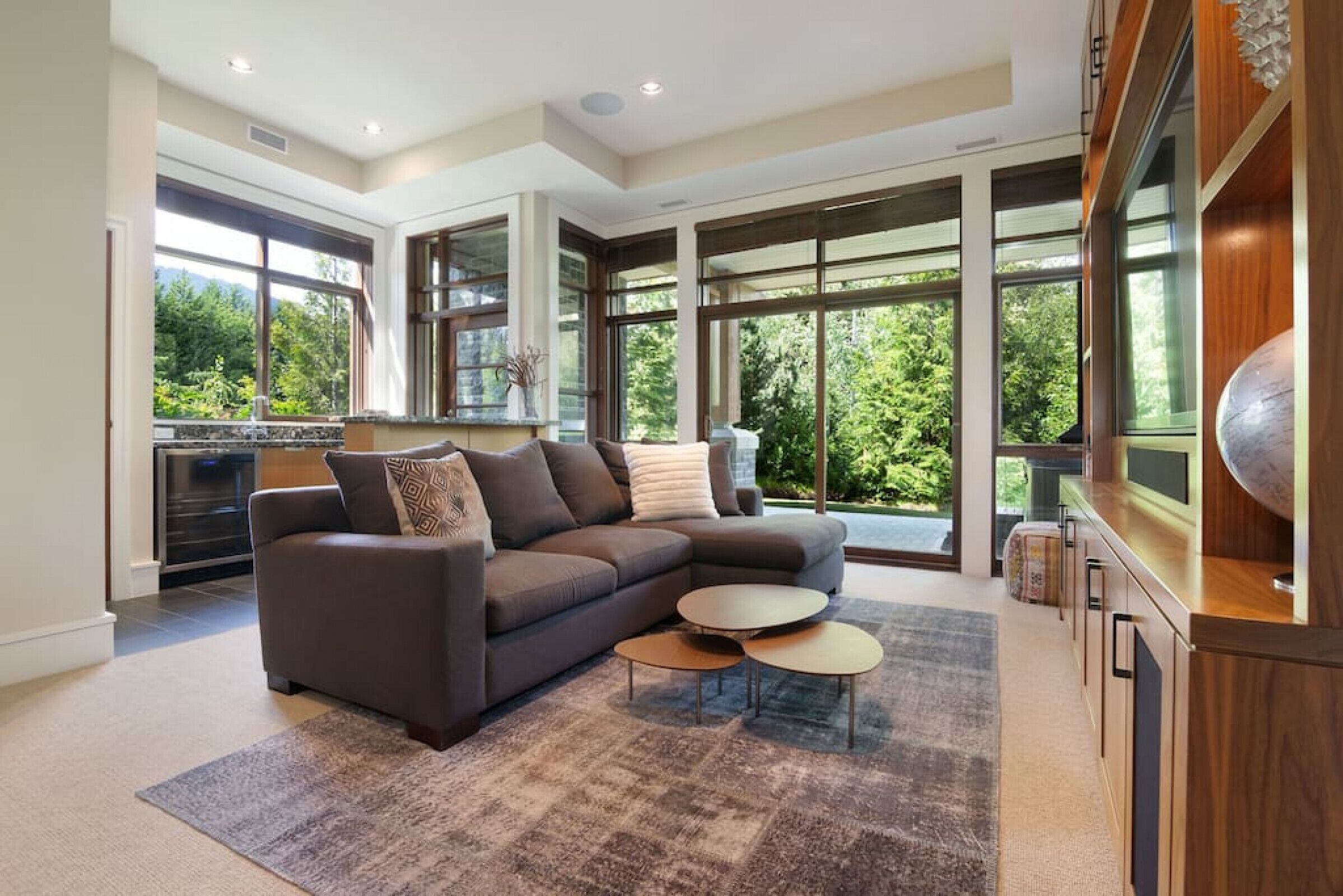 Télévision, cheminée, chaîne hi-fi