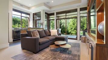 Télévision, cheminée, chaßne hi-fi