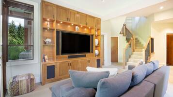 Télévision, cheminée, chaßne hi-fi