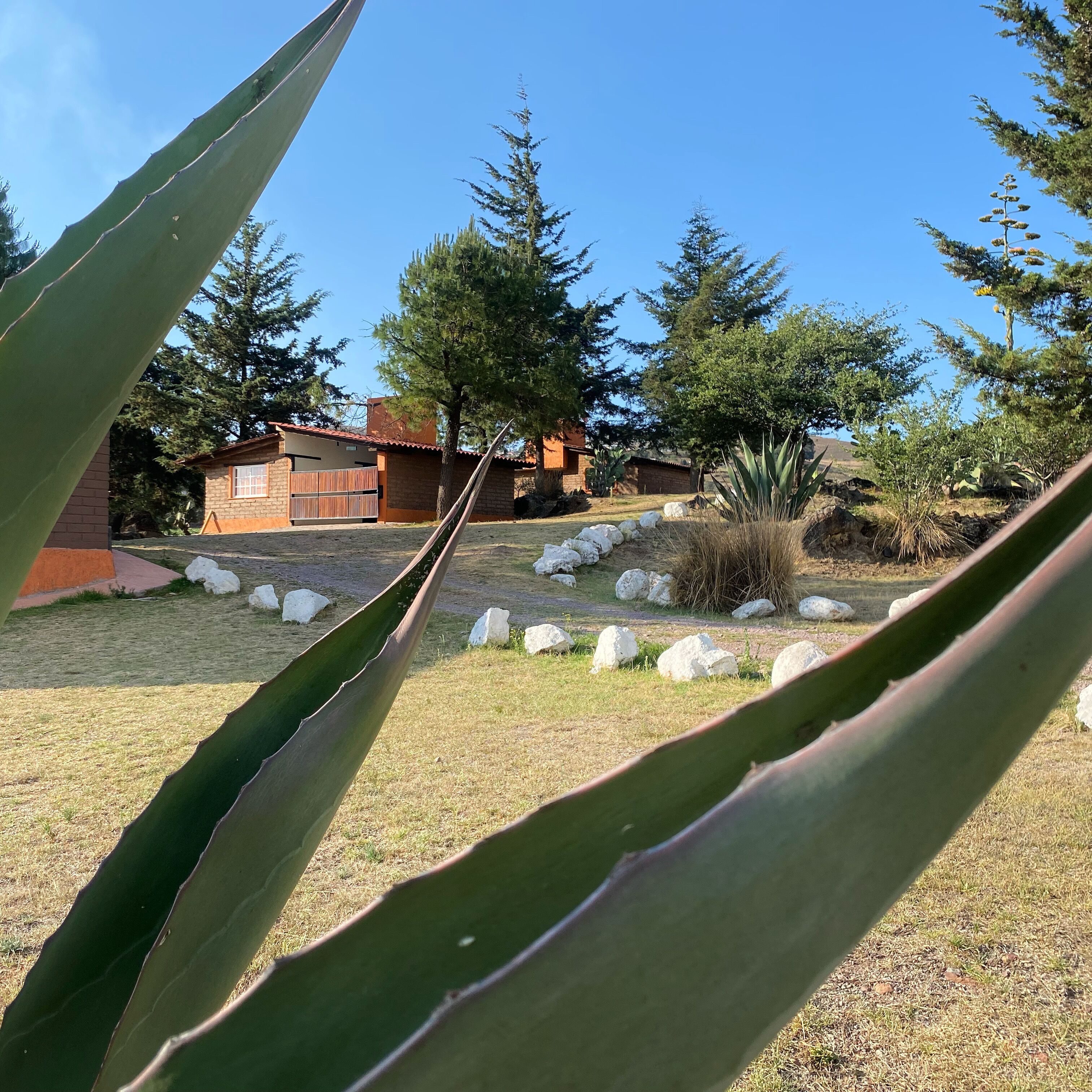 Cabaña básica | Exterior