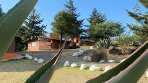 基本小屋 | 外觀