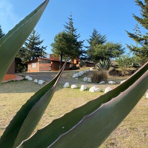 Basic Cabin | Exterior