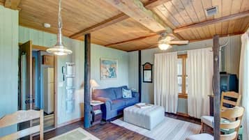 Smart TV, fireplace, books