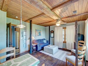 Smart TV, fireplace, books