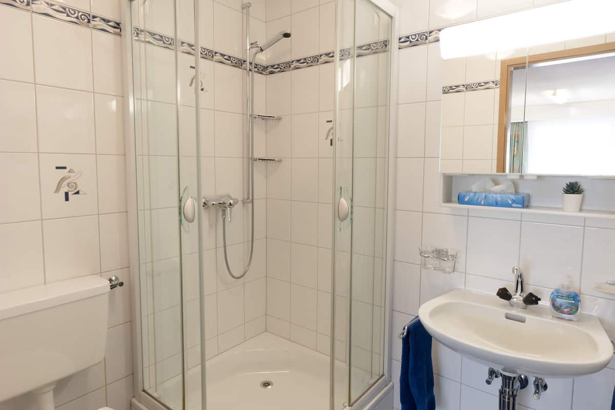 A bathroom with a glass-enclosed shower, a white toilet, a sink, and a mirror above it.
