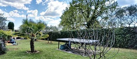 A backyard with a lawn, a palm tree, a table, and a hedge.