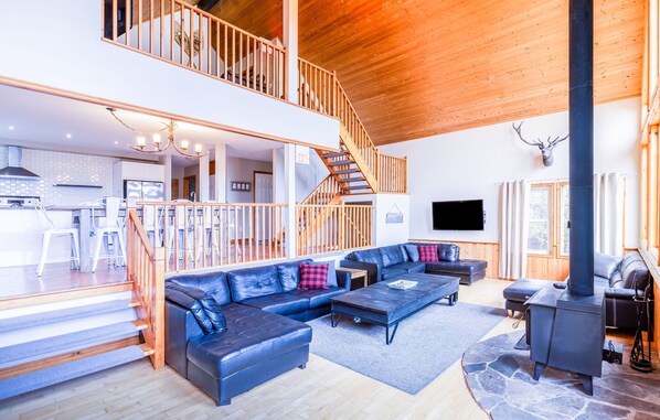 Télévision, cheminée, lecteur de DVD