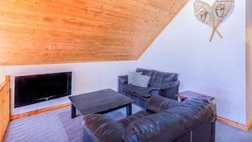 Tv, eldstad och dvd-spelare