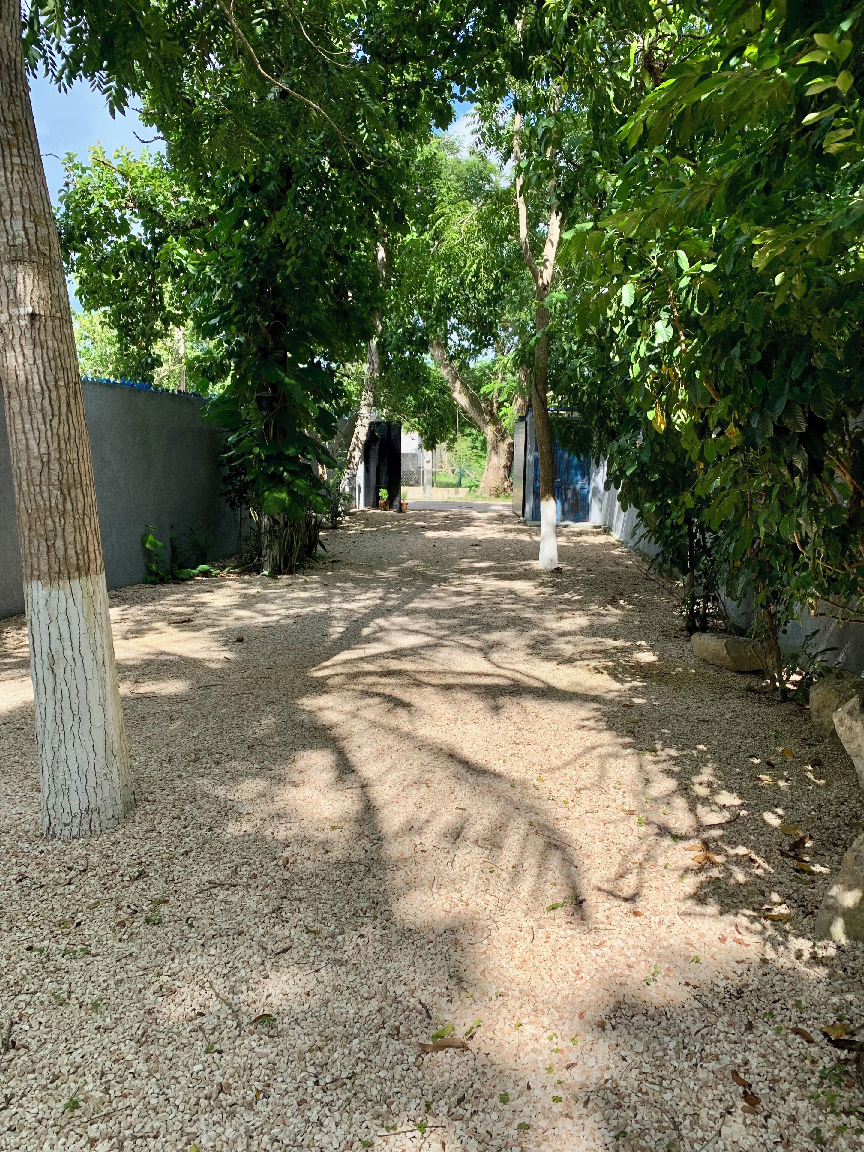 Foto - The Blue Eco Lodge