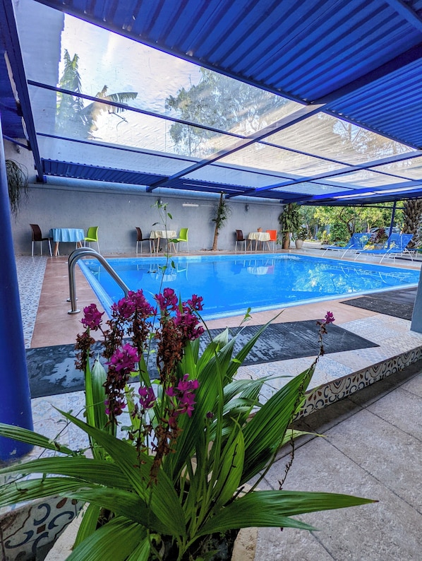 Outdoor pool, open 8:00 AM to 9:00 PM, pool loungers