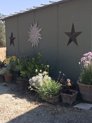 Stroll through the serene garden, surrounded by lush potted plants and decorative accents.