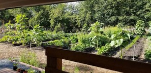 Property grounds - Farm Inn - RV Farm Stay with Ocean Views (Anacortes)