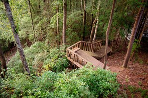 Property grounds - Rushing River Lodge: Mountain Cabin with River View & Hot Tub (Ellijay)