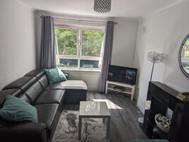 Televisión, chimenea