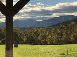 Property grounds - Hand hewn log cabin with beautiful views of the Blue Ridge Mountains  (Roseland)