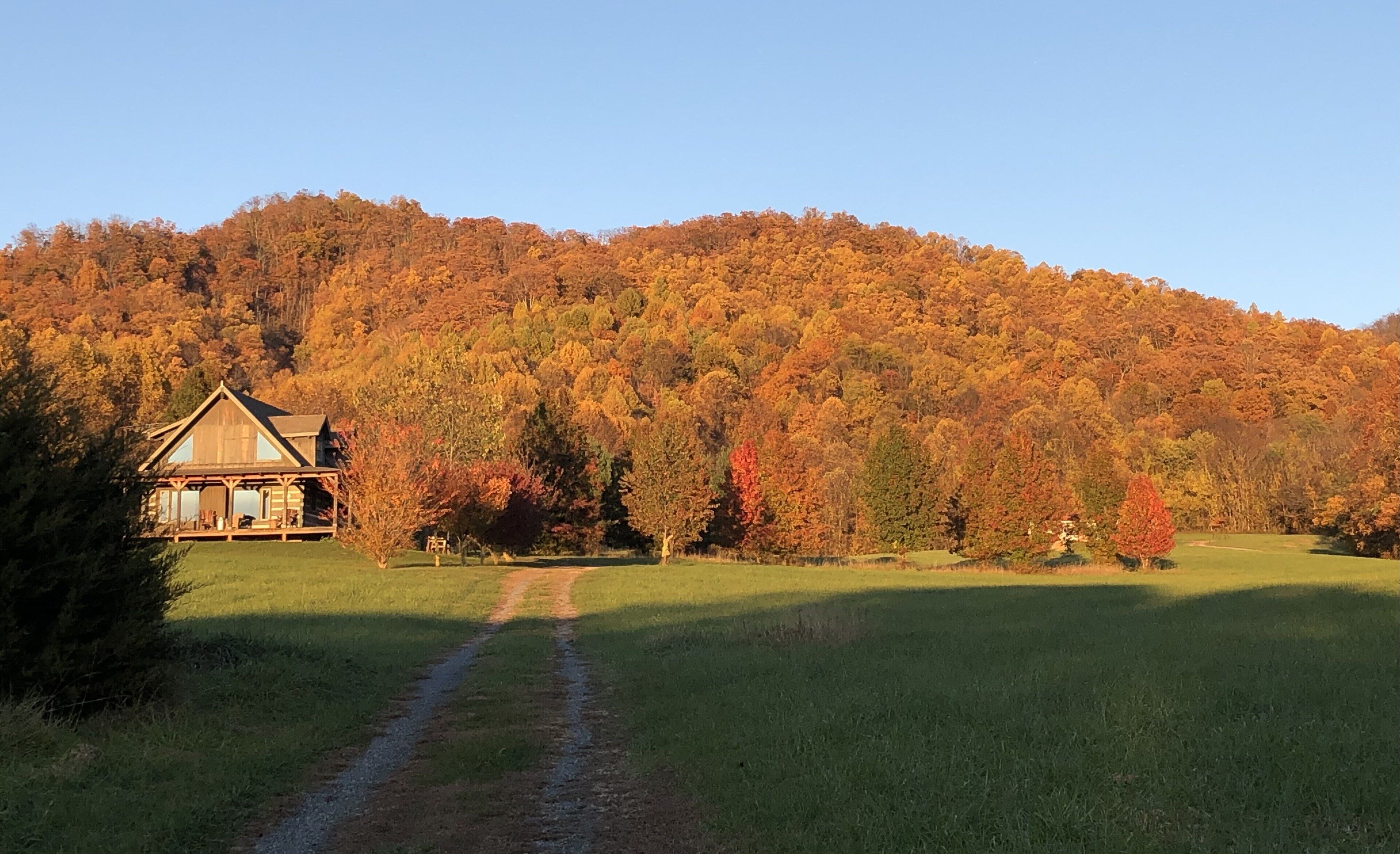 View of the cabin in fall