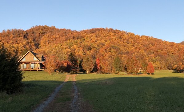 A rustic cabin with a wooden exterior, surrounded by a grassy field and a forested hillside. - Hand hewn log cabin with beautiful views of the Blue Ridge Mountains  (Roseland)