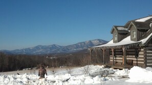 Exterior - Hand hewn log cabin with beautiful views of the Blue Ridge Mountains  (Roseland)