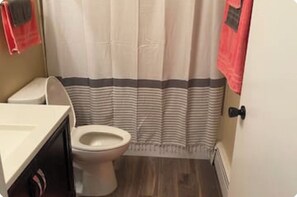 Combined shower/bathtub, hair dryer, towels, soap