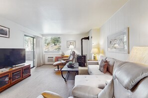 TV, fireplace, DVD player, books